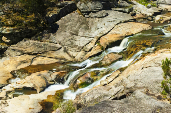 Flowing Waterby David Willis